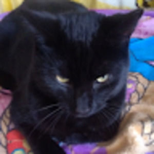 Meet your Posher, Sharon